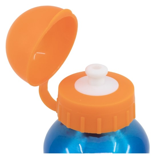 Pokemon Vattenflaska 530ml - 3