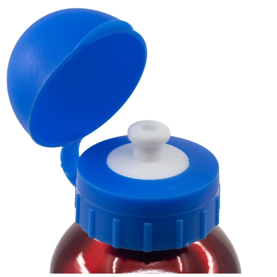 Spiderman Vattenflaska 530ml - 3