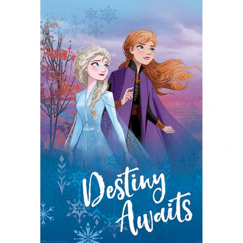 Frost Disney Poster Destiny 115