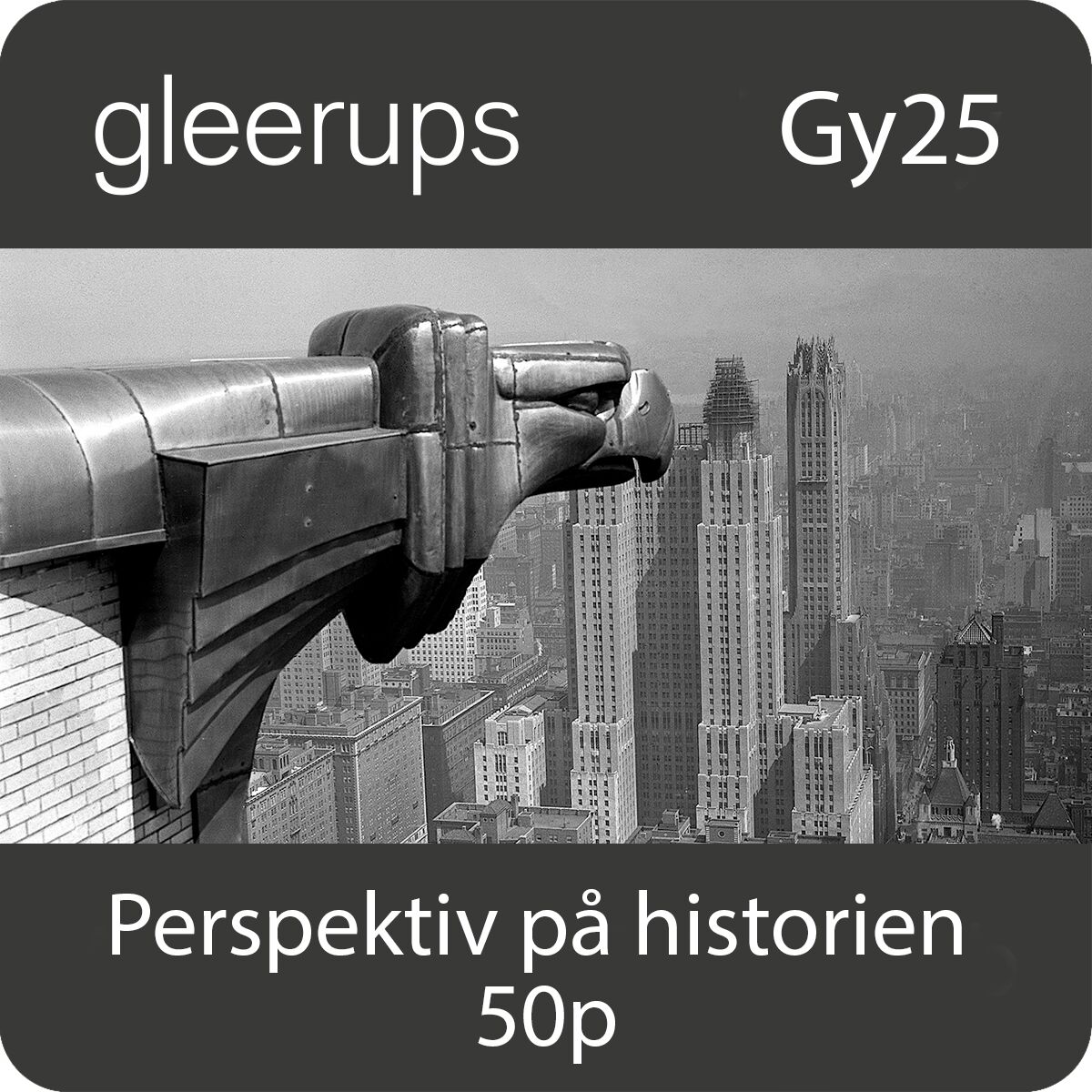 Perspektiv på historien 50p, digitalt läromedel, elev, Gy25