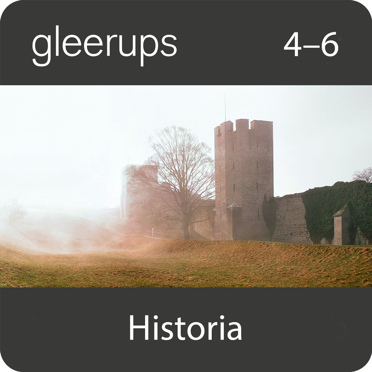 Gleerups historia 4-6, digitalt läromedel, elev
