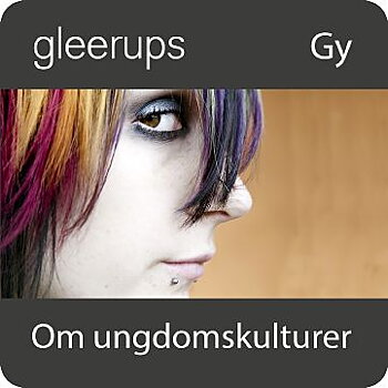 Om ungdomskulturer, digitalt läromedel, elev