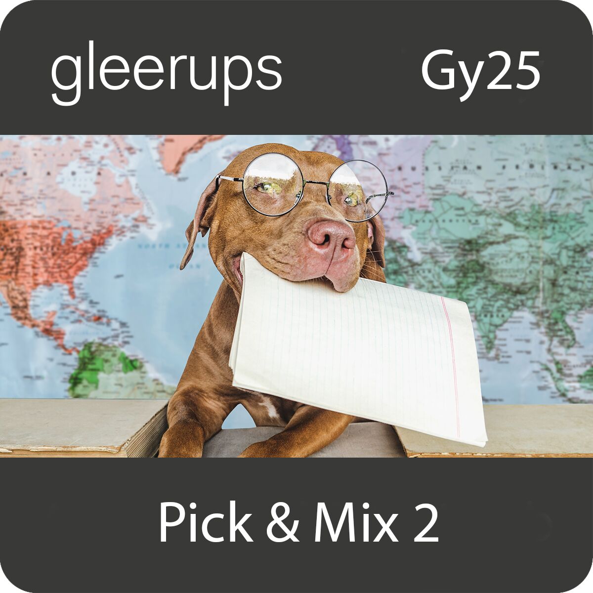 Pick & Mix 2, digitalt läromedel, elev, Gy25