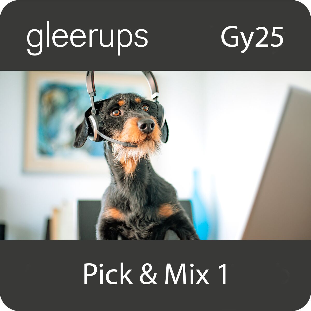 Pick & Mix 1, digitalt läromedel, elev, Gy25