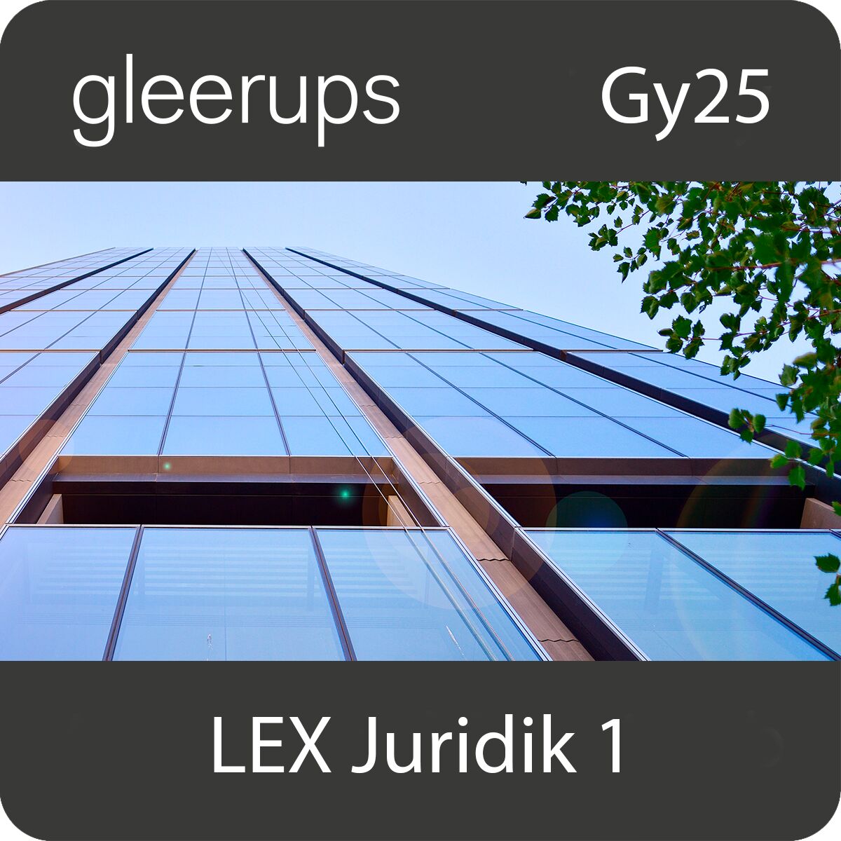 LEX Juridik 1, digitalt läromedel, elev, Gy25