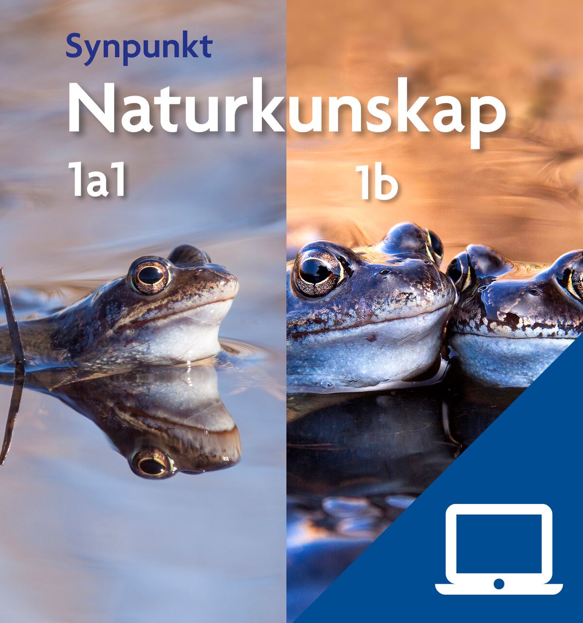 Synpunkt Naturkunskap 1a1+1b, digital elevträning