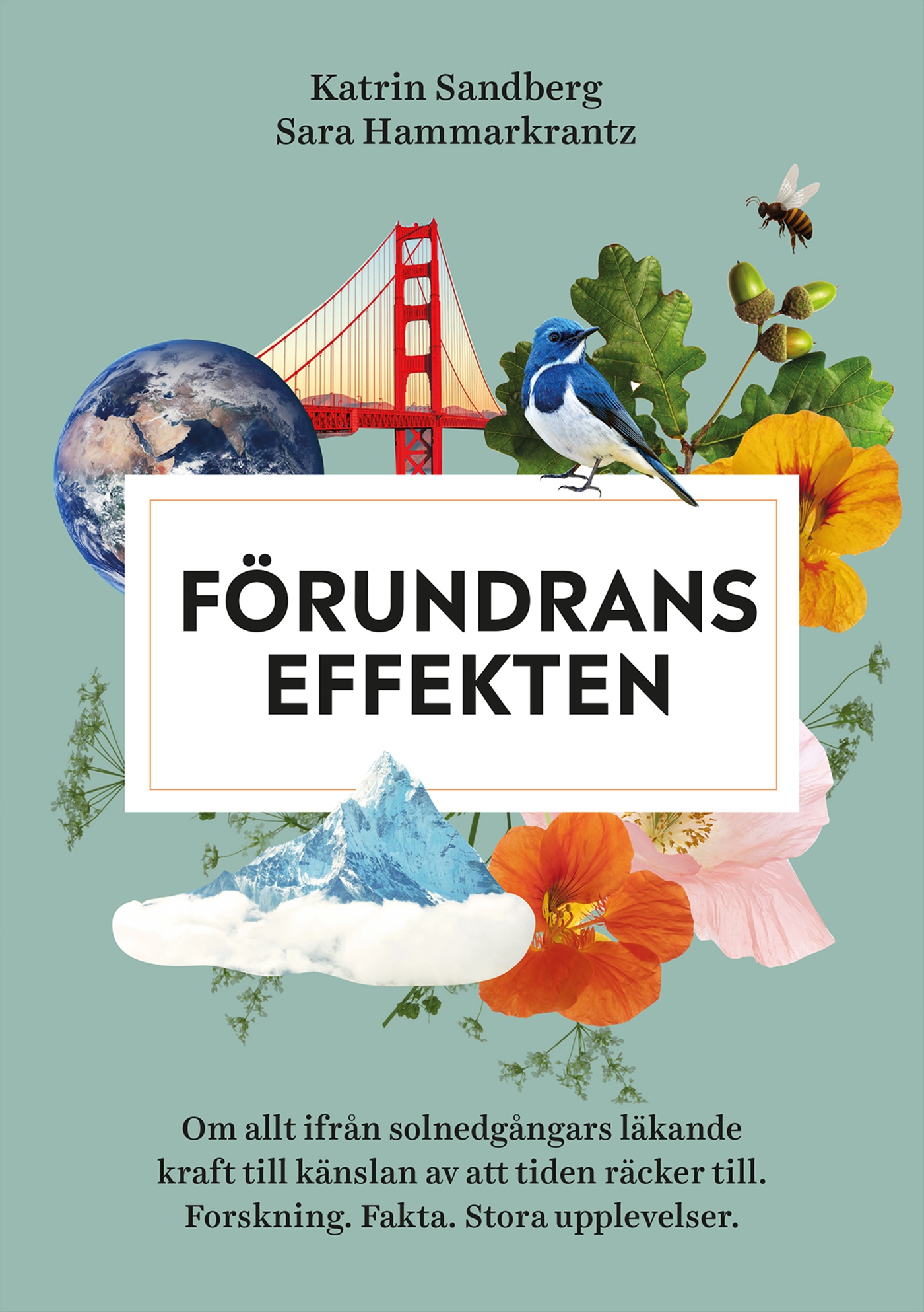 Förundranseffekten : om allt ifrån solnedgångars läkande kraft till känslan av att tiden räcker till - forskning, fakta och stora upplevelser, E