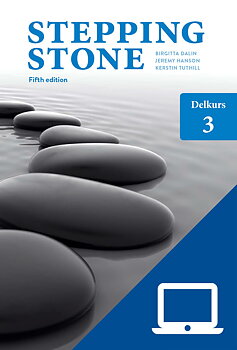 Stepping Stone Delkurs 3, Elevwebb Individlicens