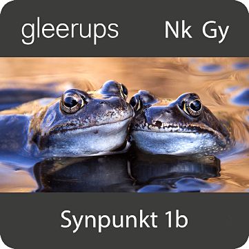 Synpunkt 1b, digitalt läromedel, elev