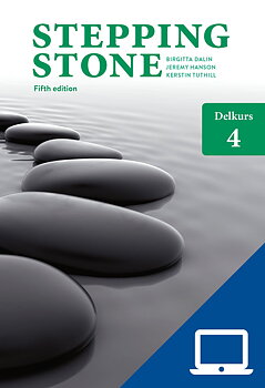 Stepping Stone Delkurs 4, Elevwebb Individlicens