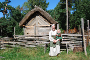 Viking Online 4-6, elevlicens 10 pack 6mån
