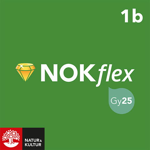 NOKflex Matematik Nivå 1b