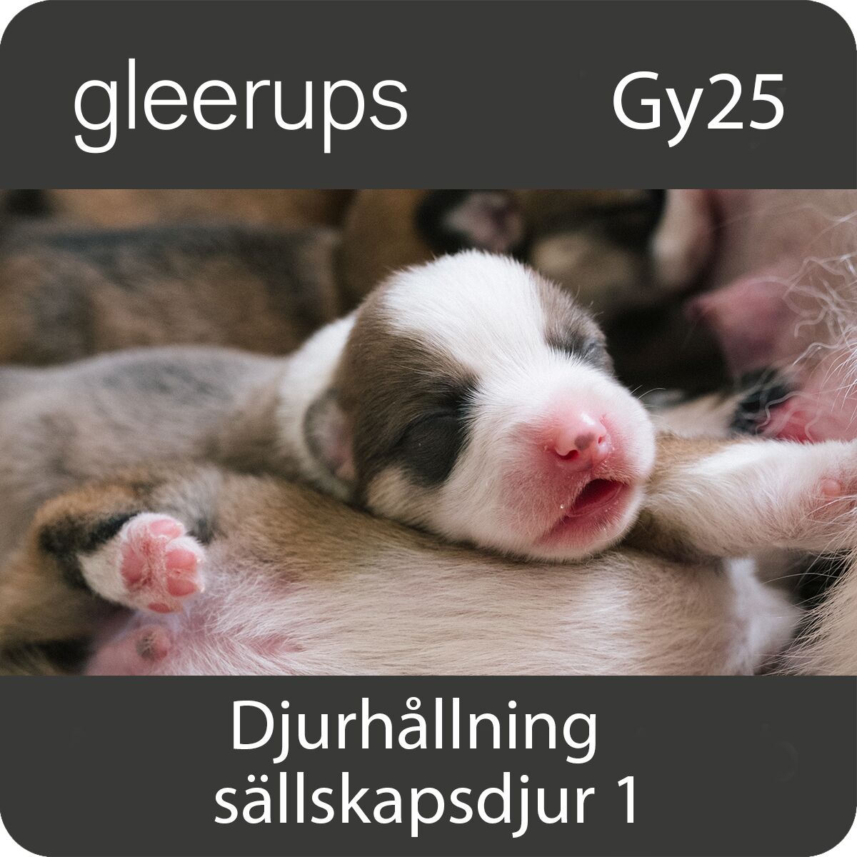 BokGym Djurhållning - sällskapsdjur 1, digitalt läromedel, elev, Gy25