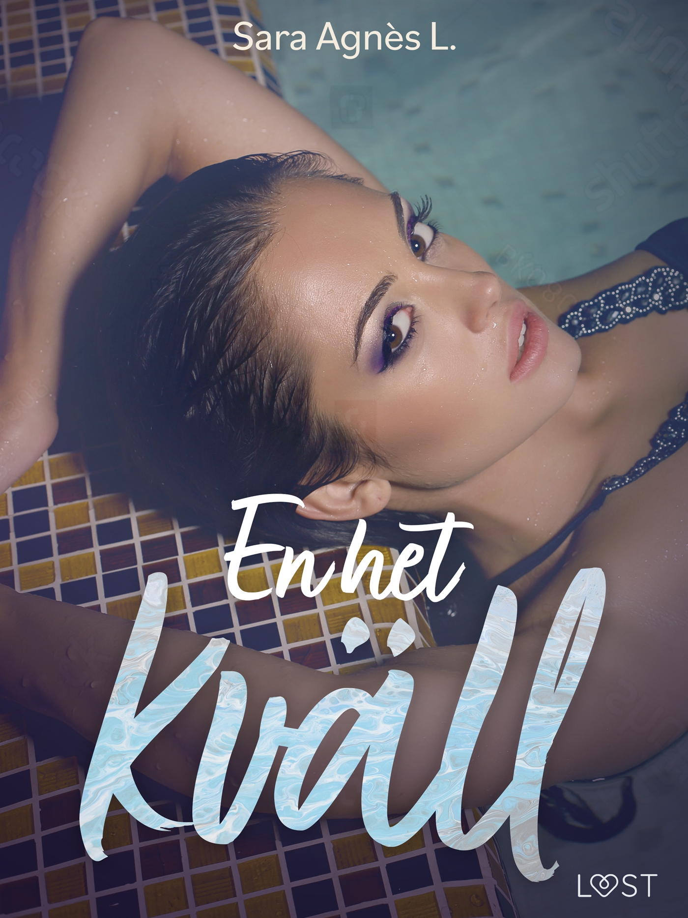 En het kväll - erotisk novell, E-bok