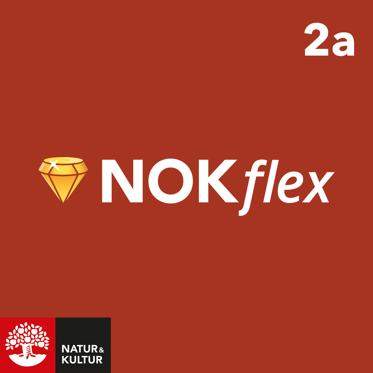 NOKflex Matematik Nivå 2a (kurs 2a)