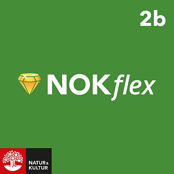 NOKflex Matematik Nivå 2b (kurs 2b)