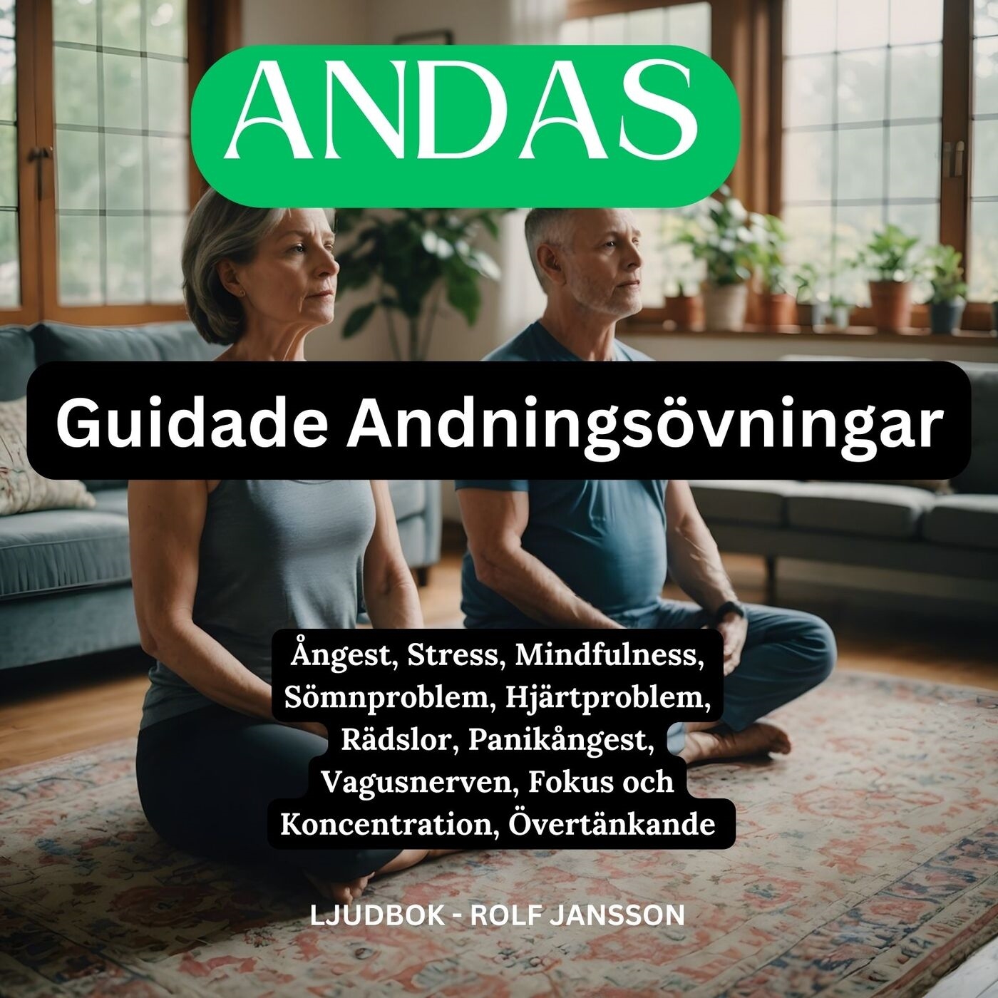 ANDAS : Guidade Andningsövningar : Ångest, Stress, Mindfulness, Sömnproblem, Hjärtproblem, Rädslor, Panikångest, Vagusnerven, Fokus och Koncentr