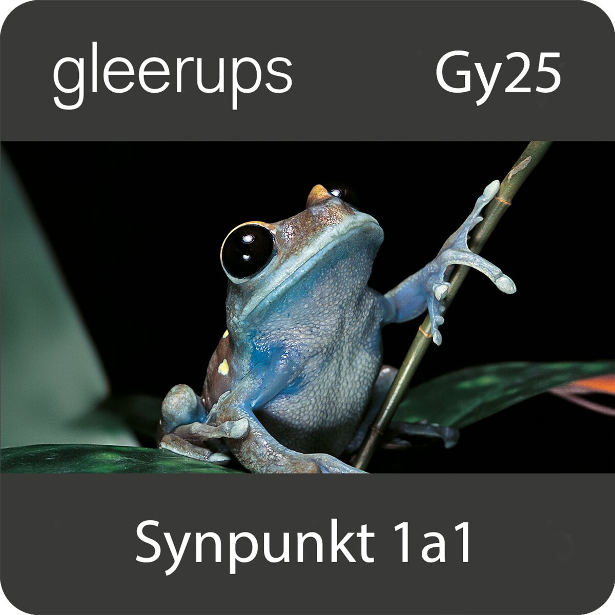 Synpunkt Naturkunskap 1a1, digitalt läromedel, elev, Gy25