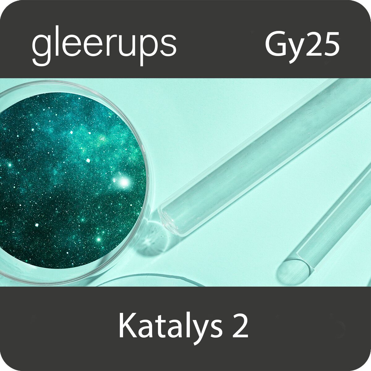 Katalys kemi 2, digitalt läromedel, elev, Gy25