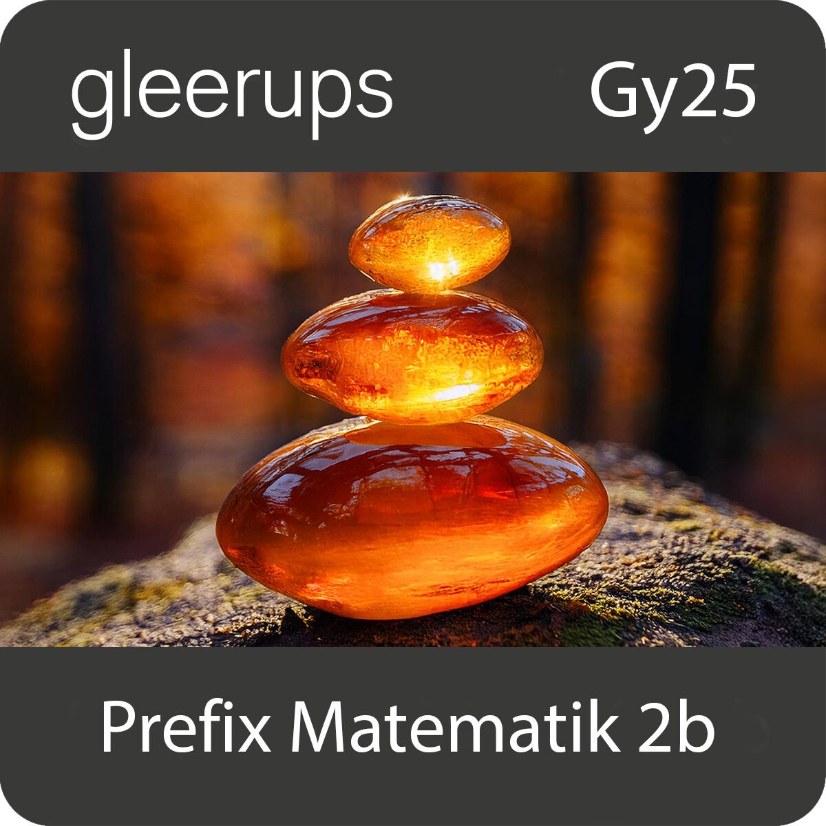 Prefix matematik 2b, digitalt läromedel, elev, Gy25