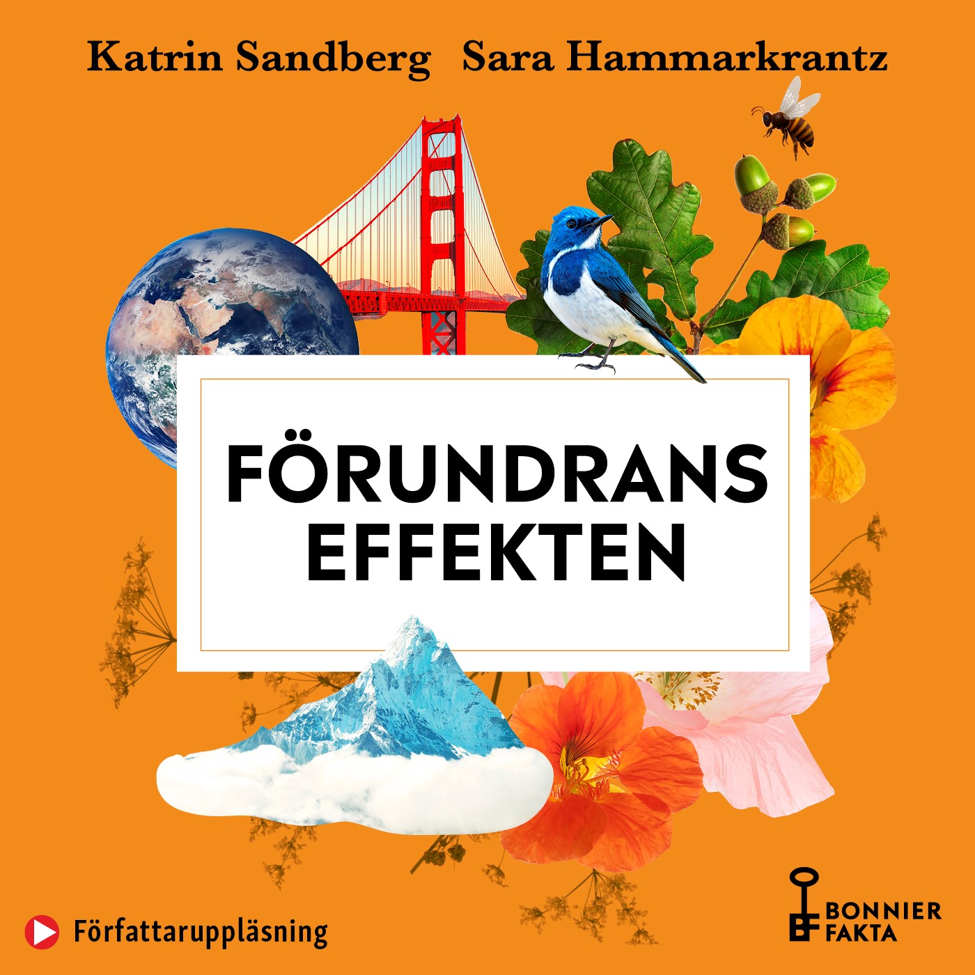 Förundranseffekten : om allt ifrån solnedgångars läkande kraft till känslan av att tiden räcker till - forskning, fakta och stora upplevelser, L