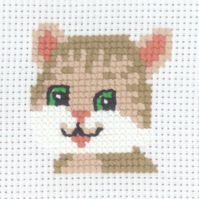 My first kit - Katt