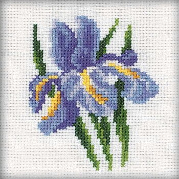 RTO Korsstygnskit 10x10 Iris Aida 5,5