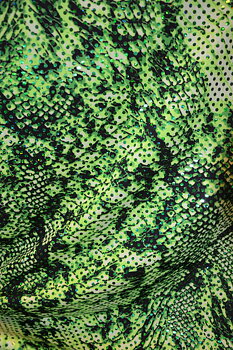 REPTILE - grön/ 10-m klipp