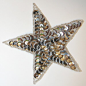 PALJETTSTJÄRNA - silver 9 cm