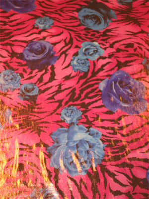 Blue Roses