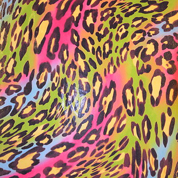 WILDCAT - colors