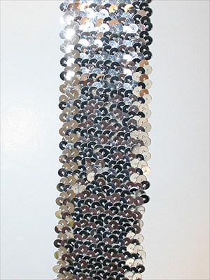 PALJETTBAND - silver 5 cm