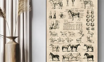 Horseliving
