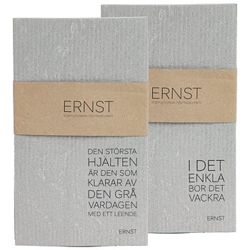 DISKTRASA ERNST 2-PACK