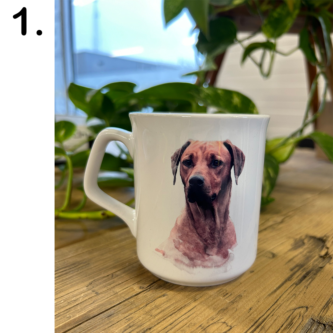 Mugg 1