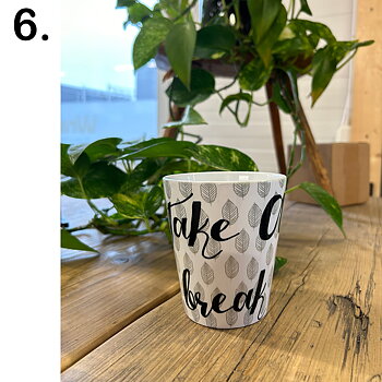 Mugg 6