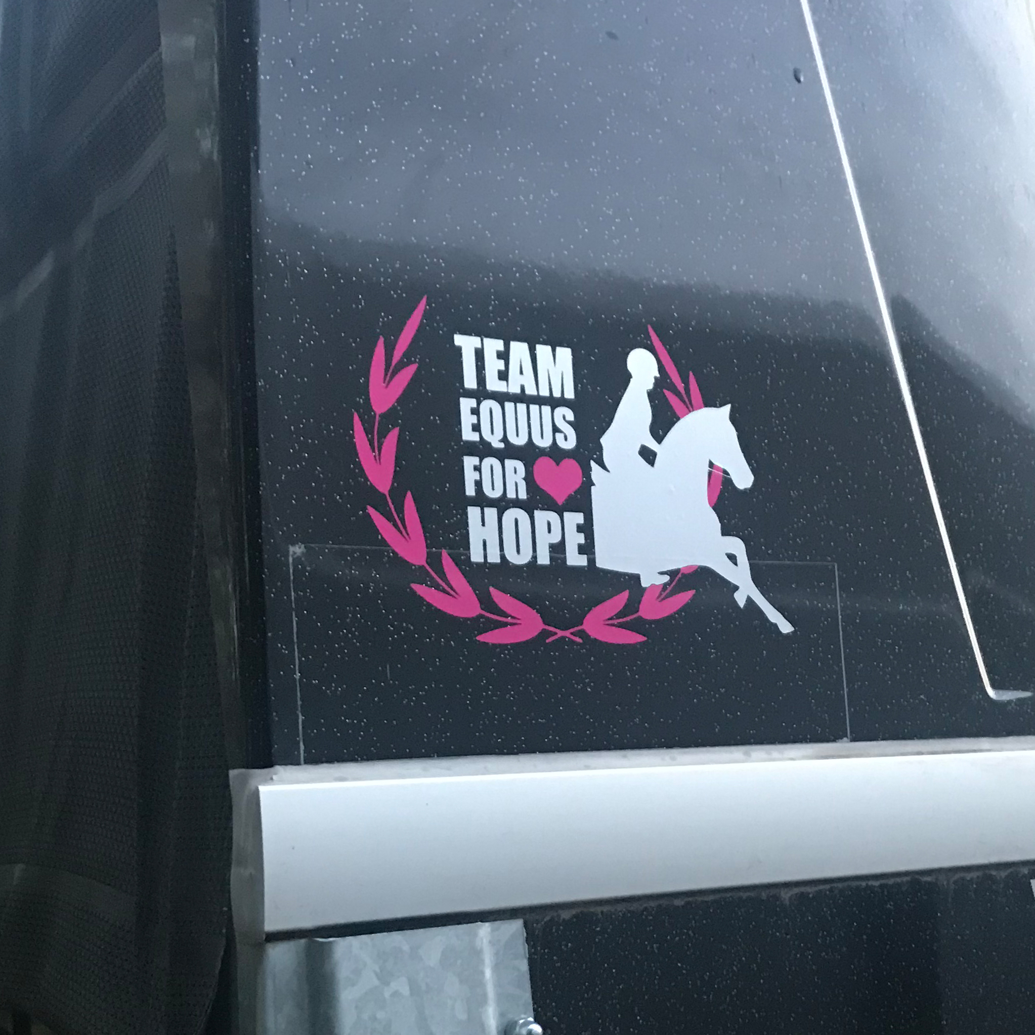 Logo for the car - 3