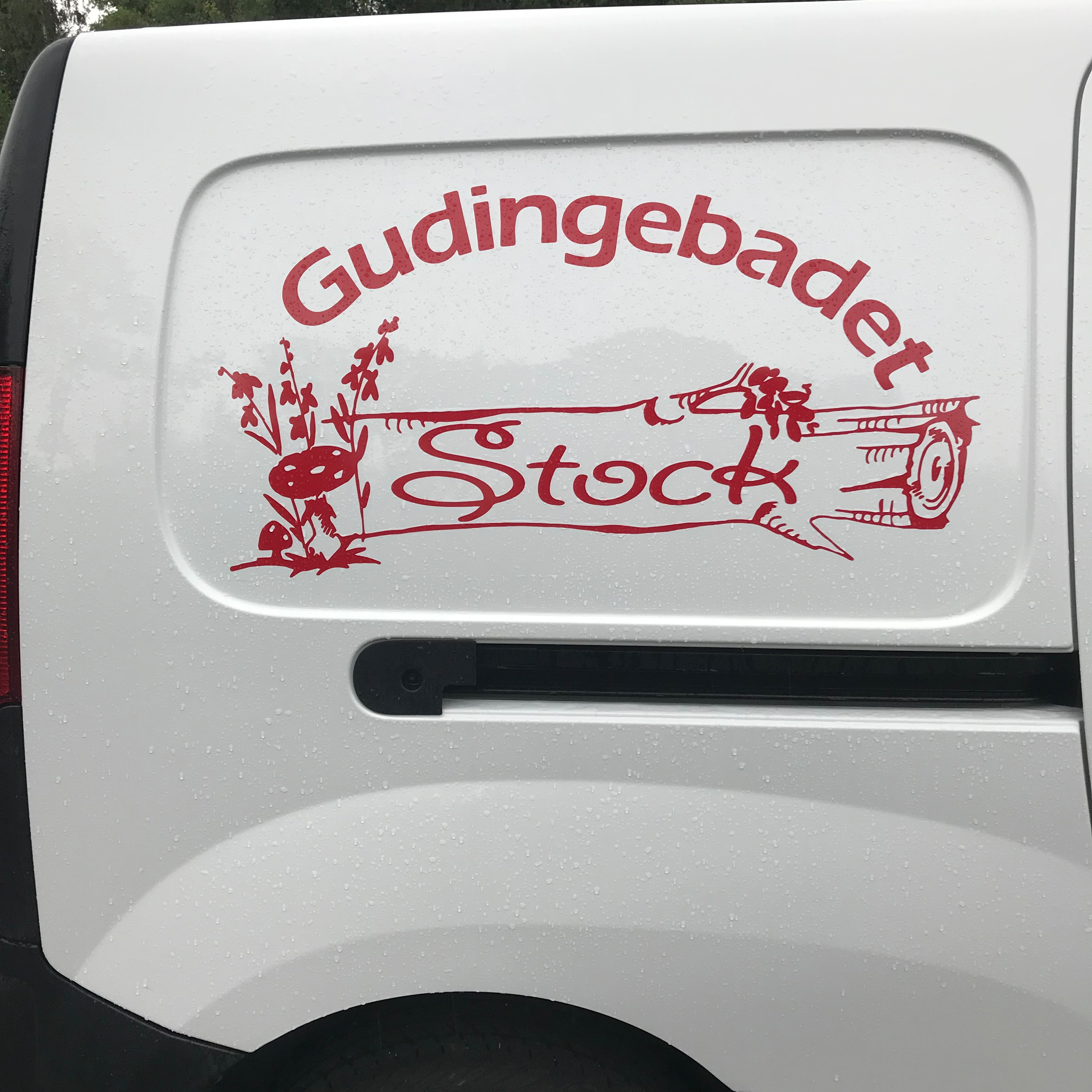 Logo for the car - 2