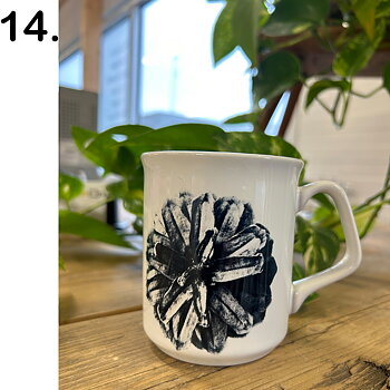 Mugg  14
