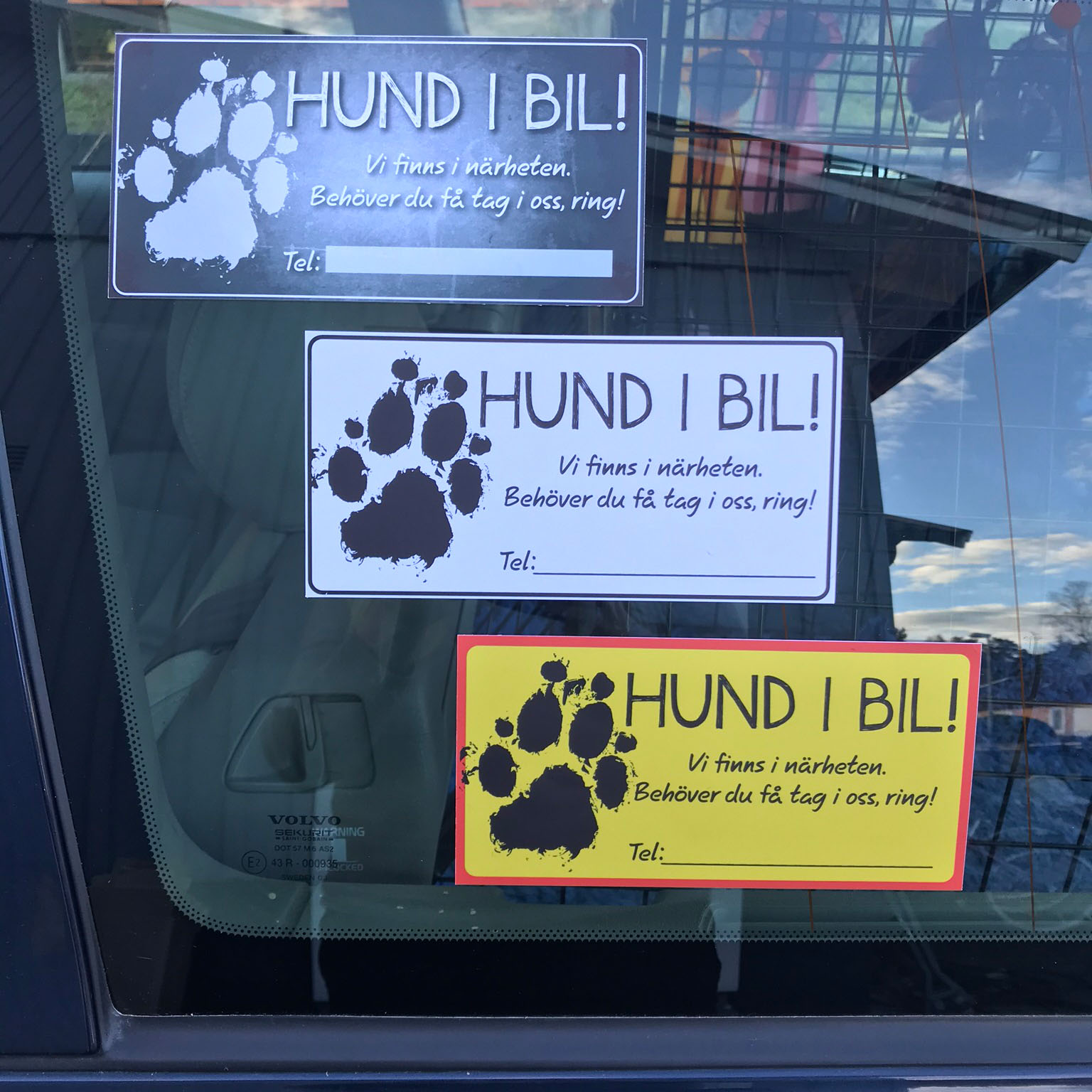 Hund i bil - skriv ditt nummer