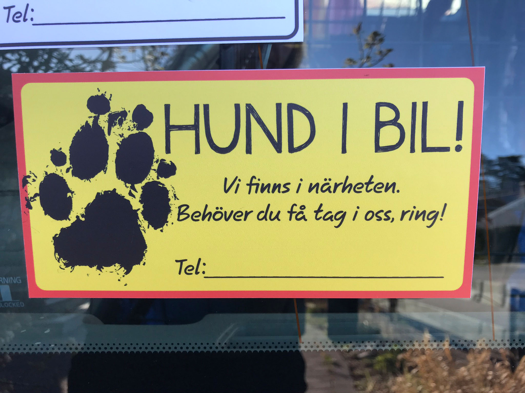 Hund i bil - skriv ditt nummer - 4