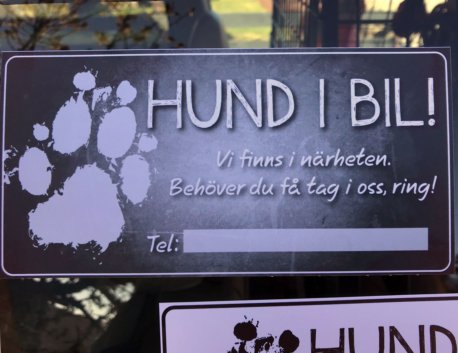 Hund i bil - skriv ditt nummer - 2