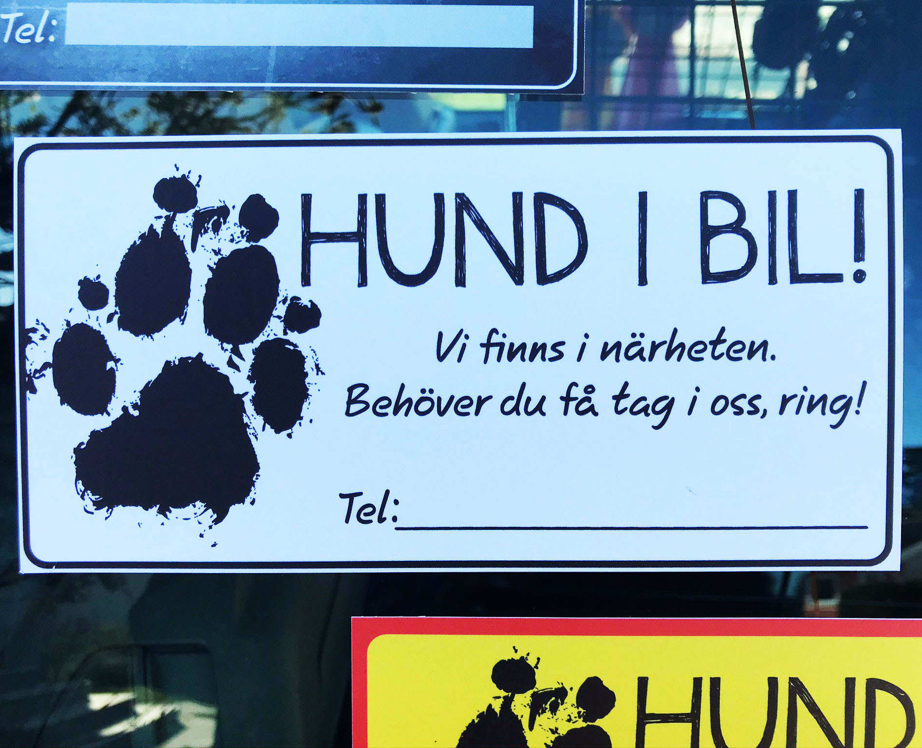 Hund i bil - skriv ditt nummer - 3