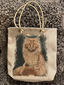 Tygväska Main Coon