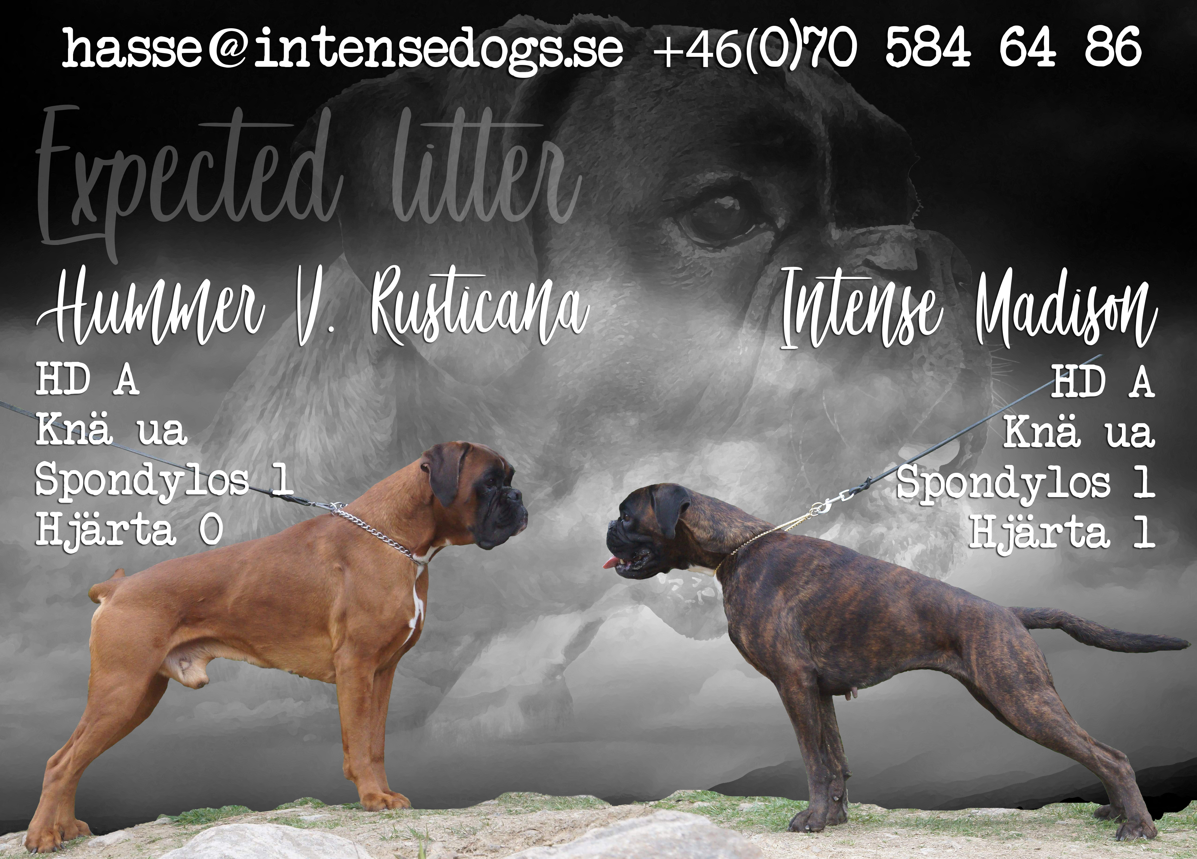 Expected litter ad - 2