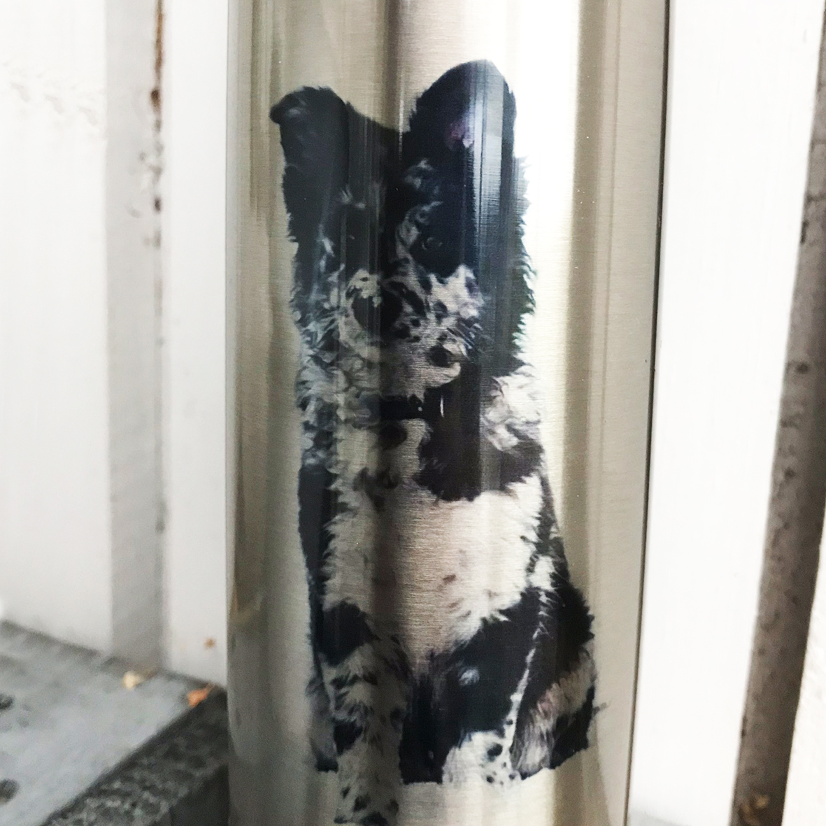 Thermos  Portrait - 11