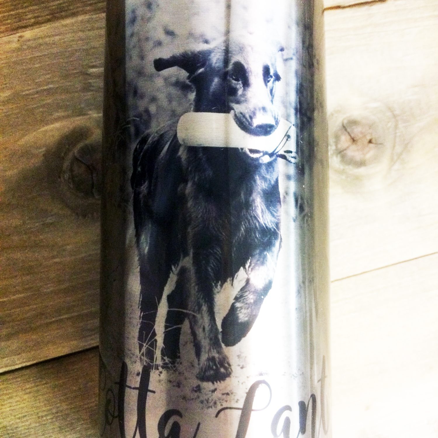 Thermos  Portrait - 5