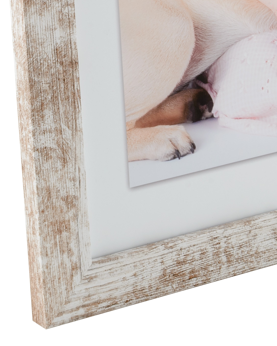 Frame Superb - 6