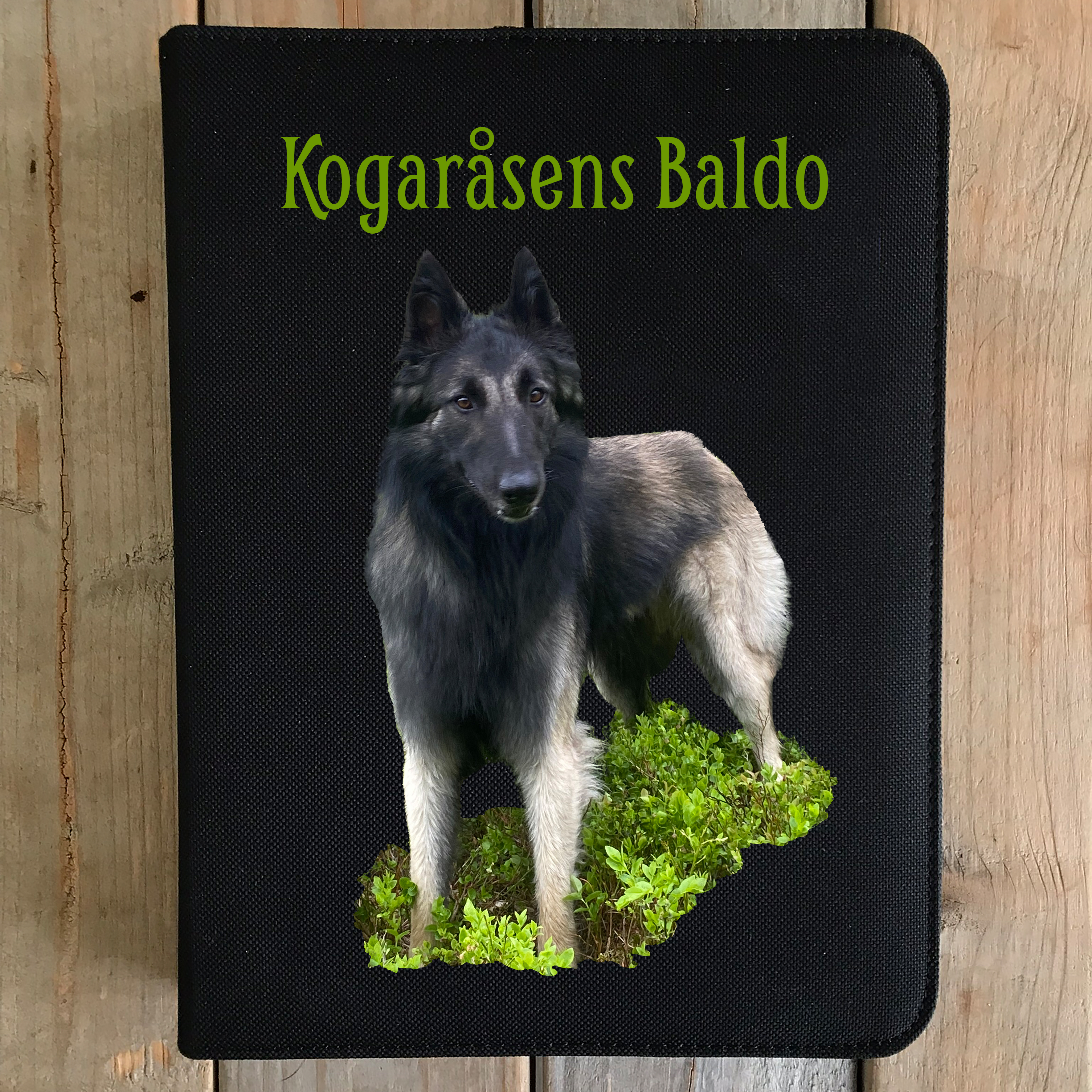 Competition binder Own picture Kogaråsen