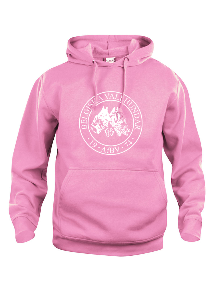 Hoodie Junior AfBV